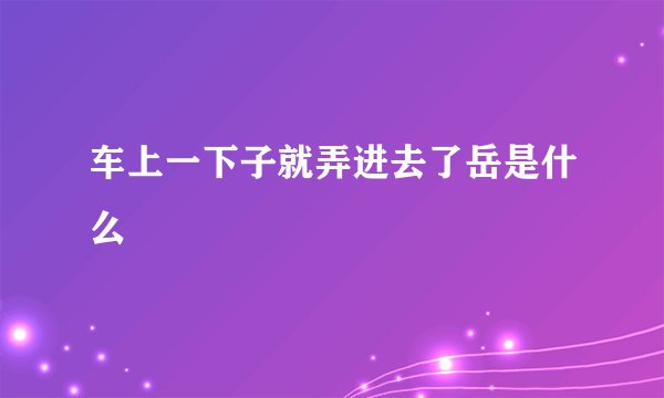 车上一下子就弄进去了岳是什么
