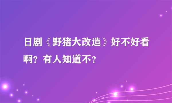 日剧《野猪大改造》好不好看啊？有人知道不？
