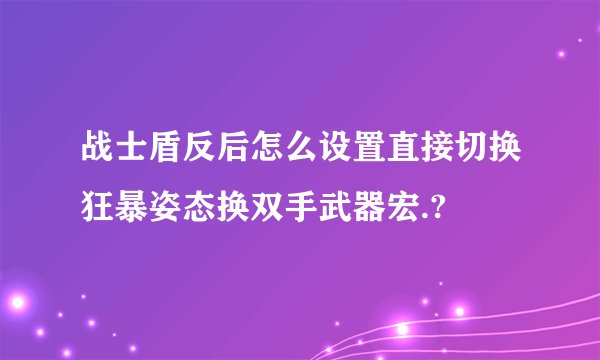 战士盾反后怎么设置直接切换狂暴姿态换双手武器宏.?