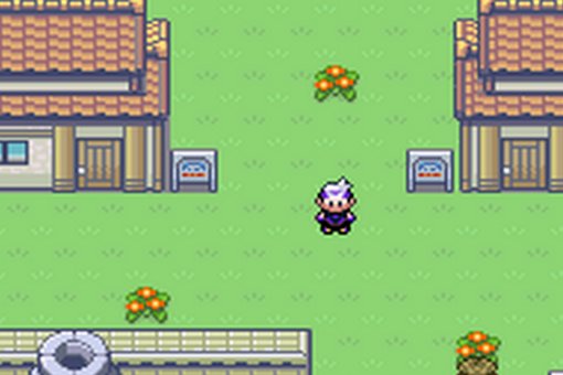 GBA口袋妖怪绿宝石386版金手指 怎么用