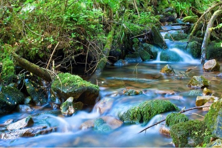 溪组词和部首和拼音