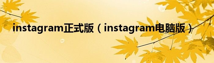 instagram正式版instagram电脑版
