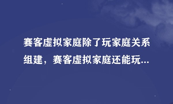 赛客虚拟家庭除了玩家庭关系组建，赛客虚拟家庭还能玩些什么？