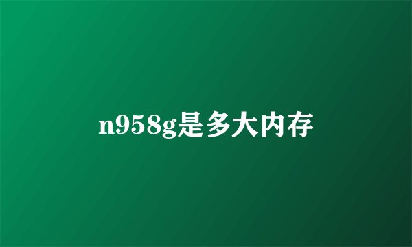 n958g是多大内存