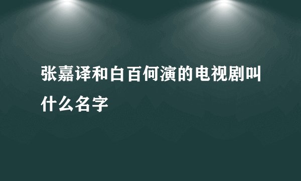 张嘉译和白百何演的电视剧叫什么名字