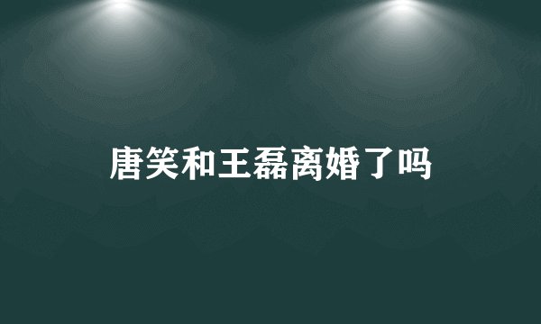 唐笑和王磊离婚了吗