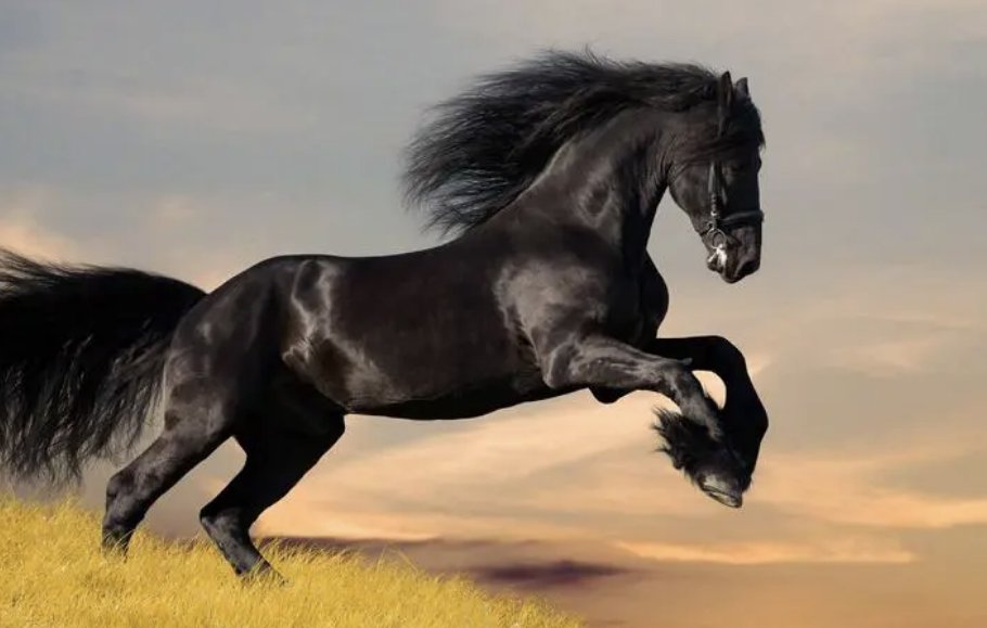 粉面含春威什么生肖