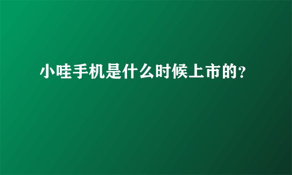 小哇手机是什么时候上市的？