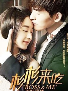 电视剧《杉杉来了》一共有多少集