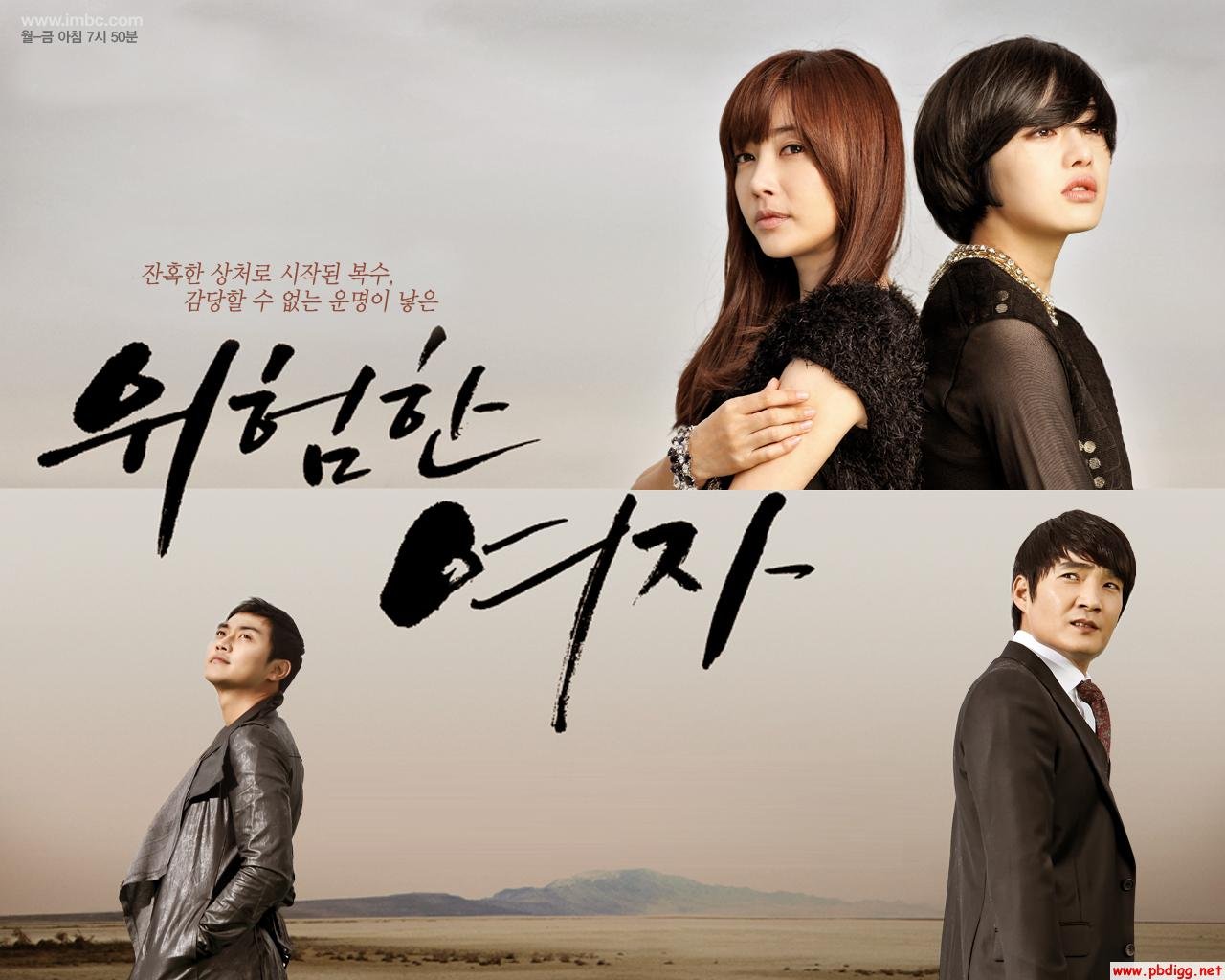 危险的女人的剧情简介