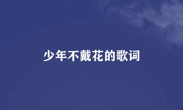 少年不戴花的歌词