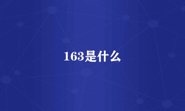 163是什么