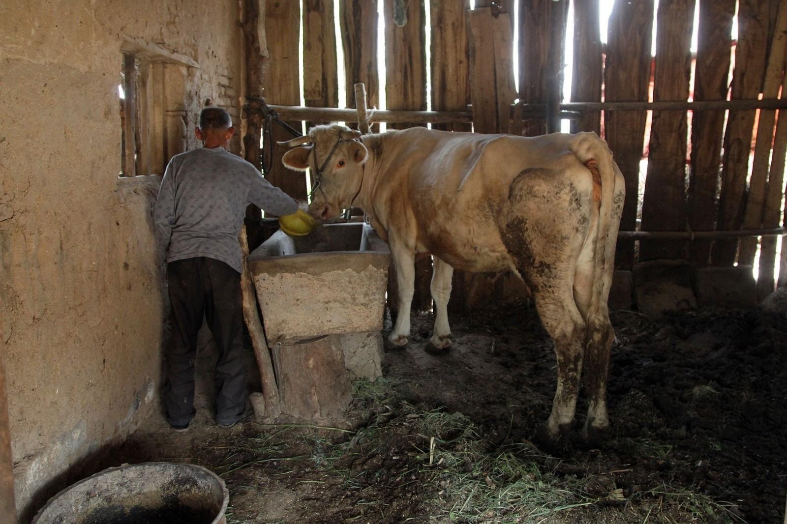 黑龙江一男子枪杀7人，嫌犯遗体被找到，凶手的作案动机是什么？