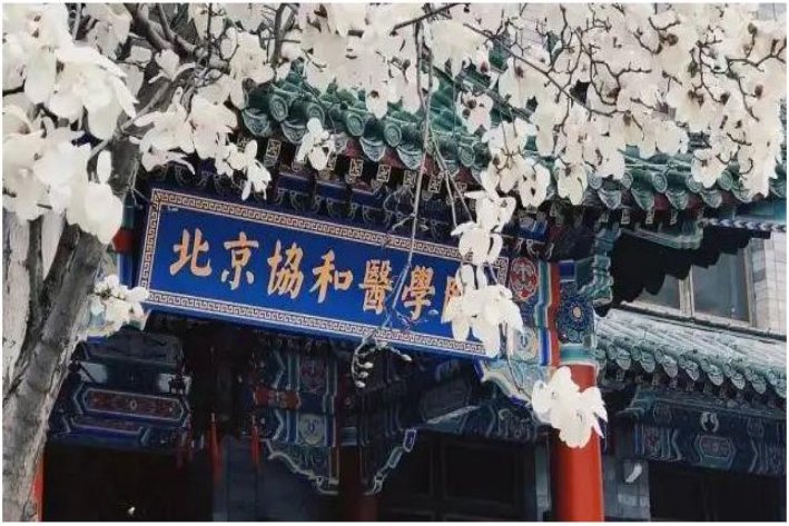 全国十大医科大学排名榜