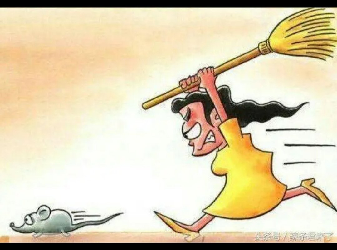 偷鸡摸狗[打一生肖]？