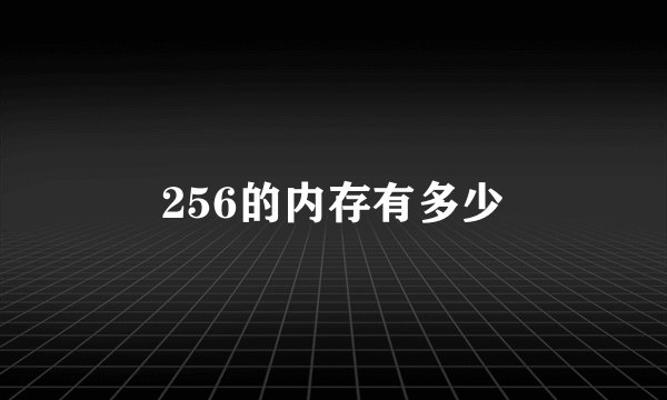 256的内存有多少
