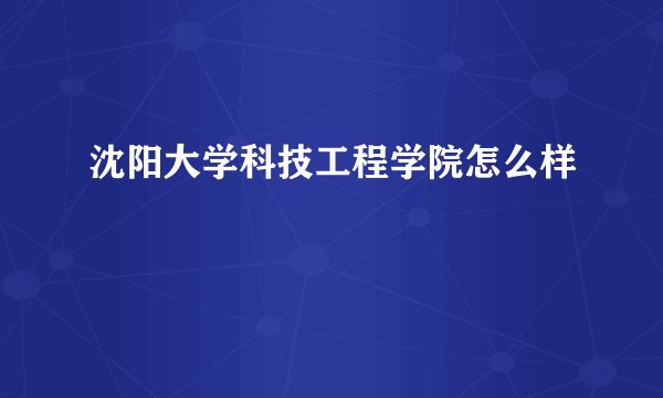 沈阳大学科技工程学院怎么样
