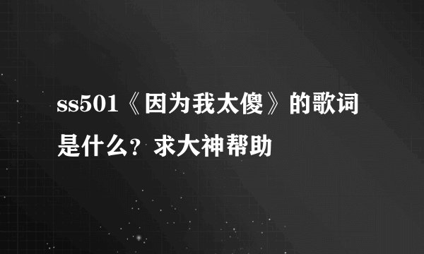 ss501《因为我太傻》的歌词是什么？求大神帮助