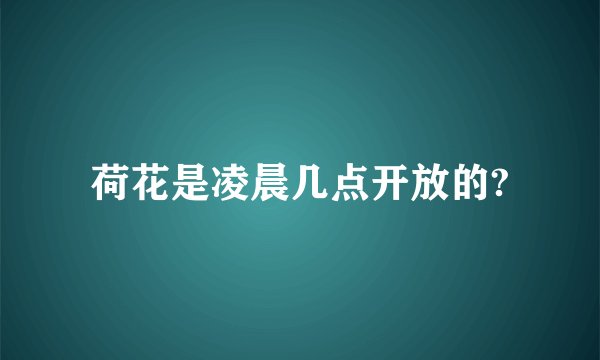 荷花是凌晨几点开放的?