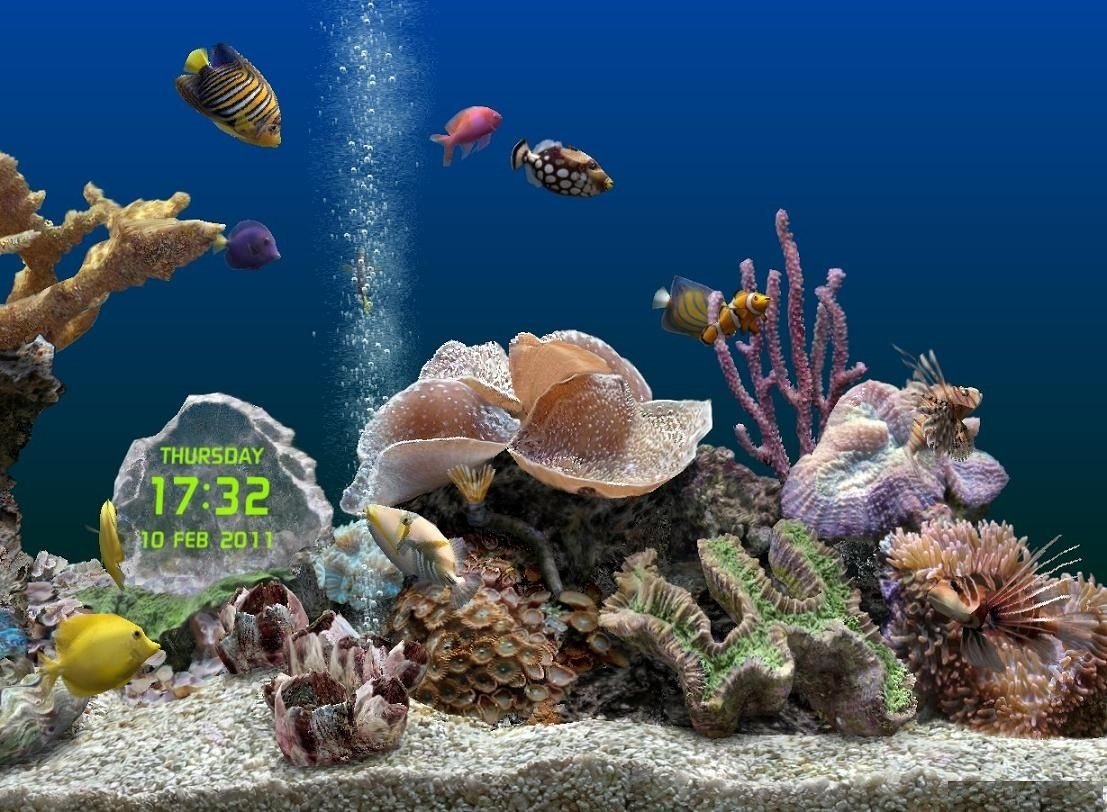 MarineAquarium3的介绍