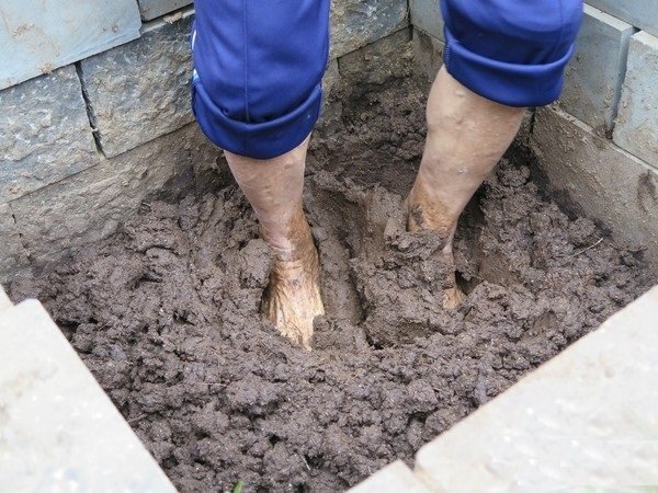 牛的屎是什么颜色的？