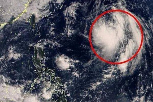 第14号台风灿鸿的具体路径是什么？