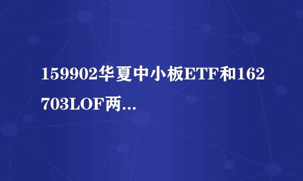 159902华夏中小板ETF和162703LOF两个基金今年那个会更好