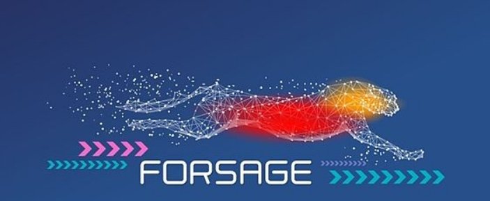 佛萨奇是什么意思？