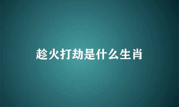 趁火打劫是什么生肖