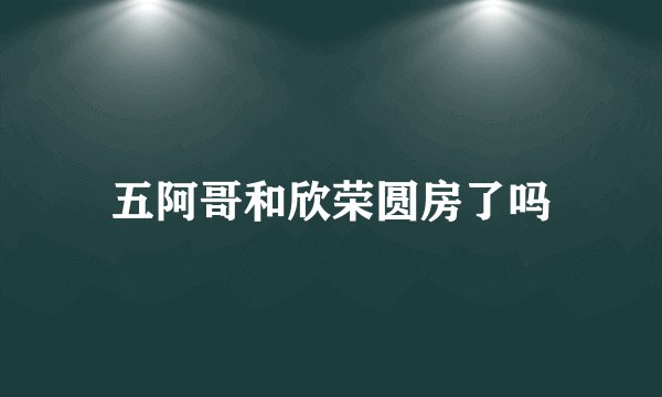 五阿哥和欣荣圆房了吗