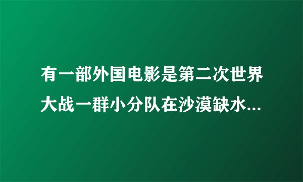 有一部外国电影是第二次世界大战一群小分队在沙漠缺水狙击一群德国士兵