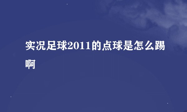 实况足球2011的点球是怎么踢啊