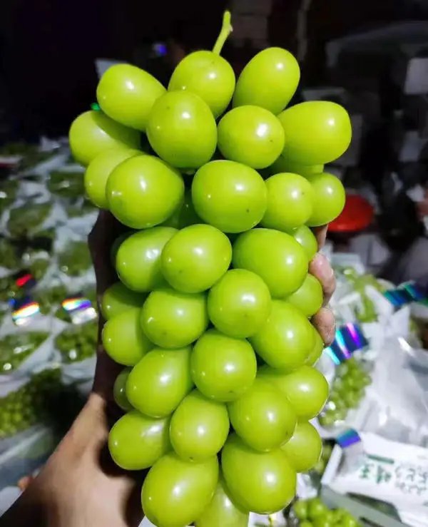 水果界“爱马仕”阳光玫瑰价格“大跳水”！掉价后，还是原来的味道吗？