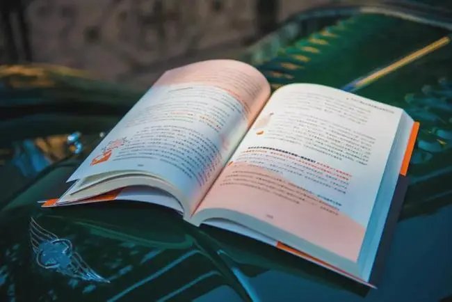 一本喜爱的书是什么也是什么句子？