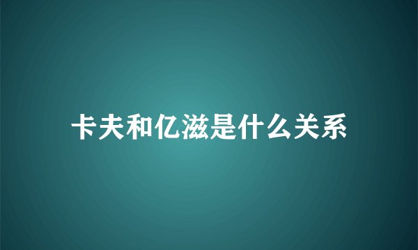 卡夫和亿滋是什么关系