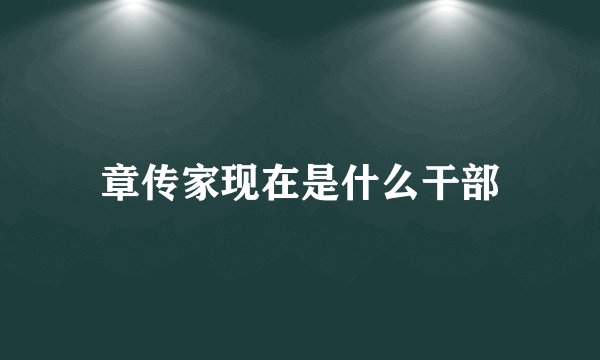 章传家现在是什么干部