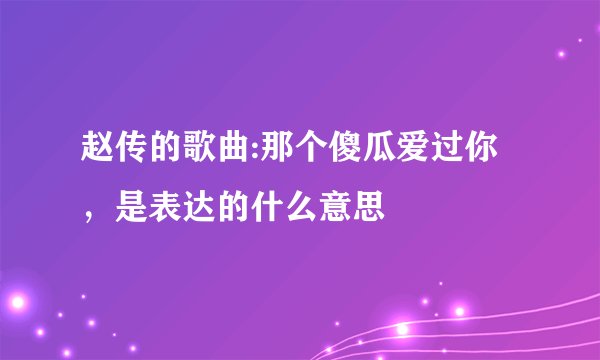 赵传的歌曲:那个傻瓜爱过你，是表达的什么意思