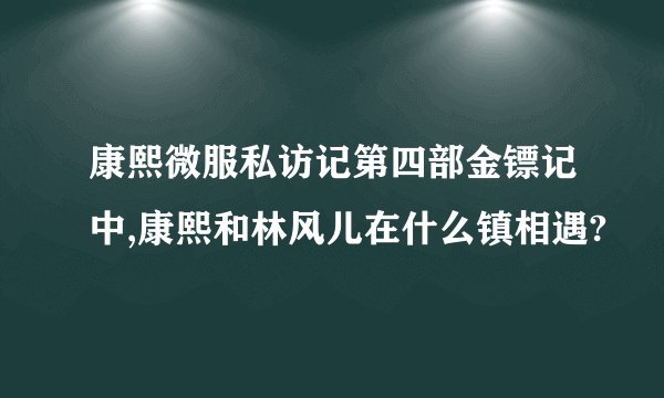 康熙微服私访记第四部金镖记中,康熙和林风儿在什么镇相遇?