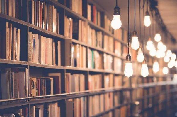 有什么好看的多肉古文？