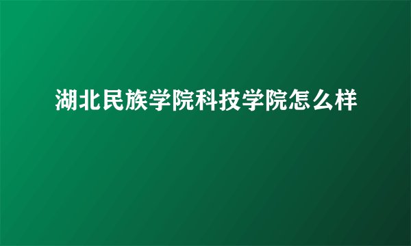 湖北民族学院科技学院怎么样