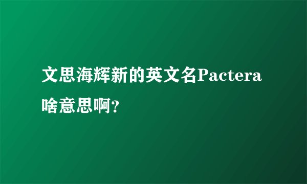 文思海辉新的英文名Pactera啥意思啊？