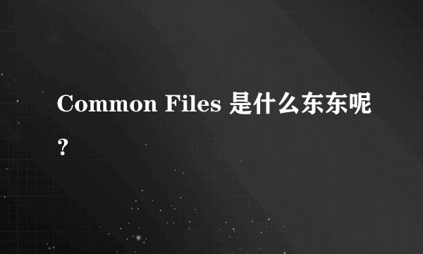 Common Files 是什么东东呢？