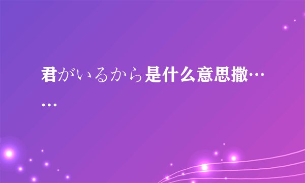 君がいるから是什么意思撒……