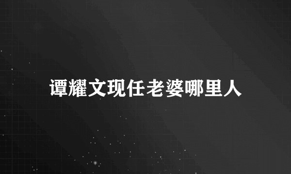 谭耀文现任老婆哪里人