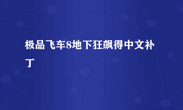 极品飞车8地下狂飙得中文补丁