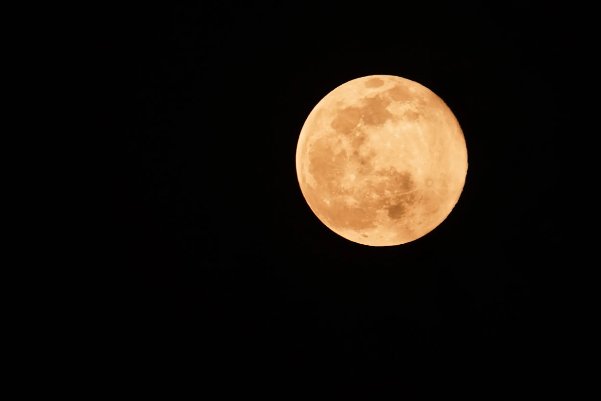 形容十六的月亮的句子