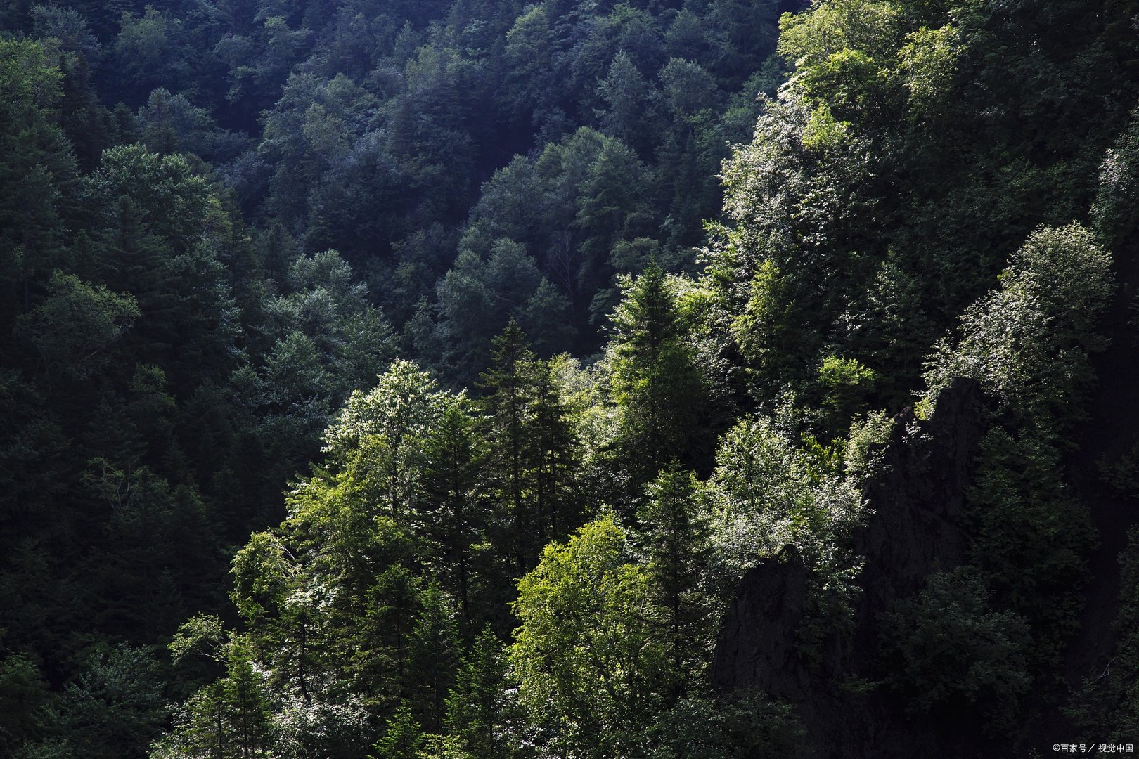 4名地质人员在哀牢山遭遇不测，他们为何没能走出哀牢山？