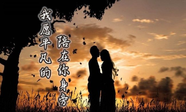 长得丑活得久是什么歌?