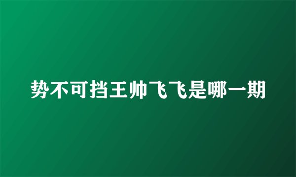 势不可挡王帅飞飞是哪一期