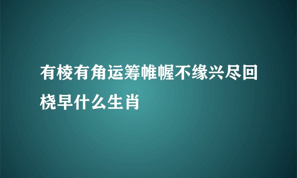 有棱有角运筹帷幄不缘兴尽回桡早什么生肖
